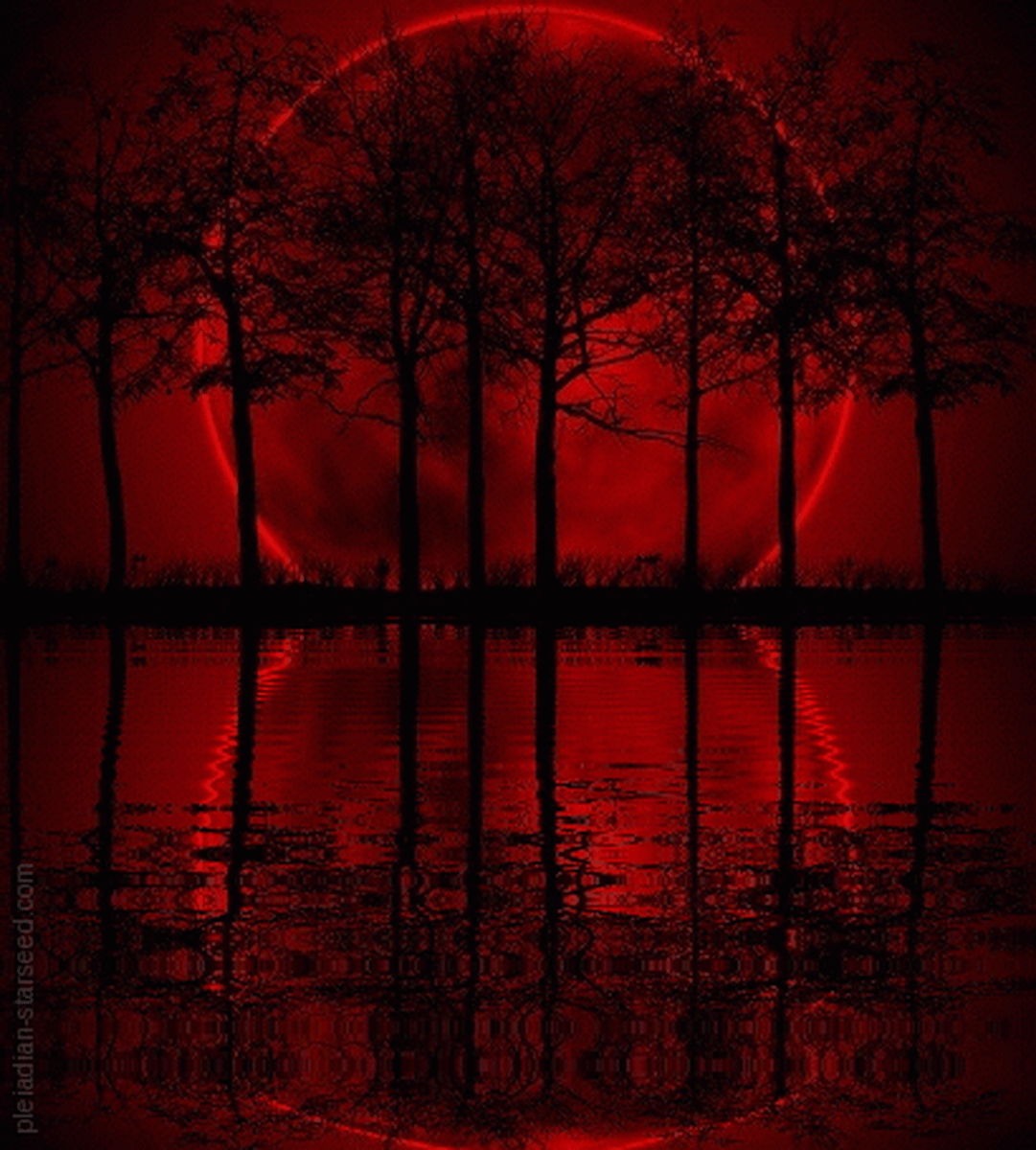 red-moon-lagoon