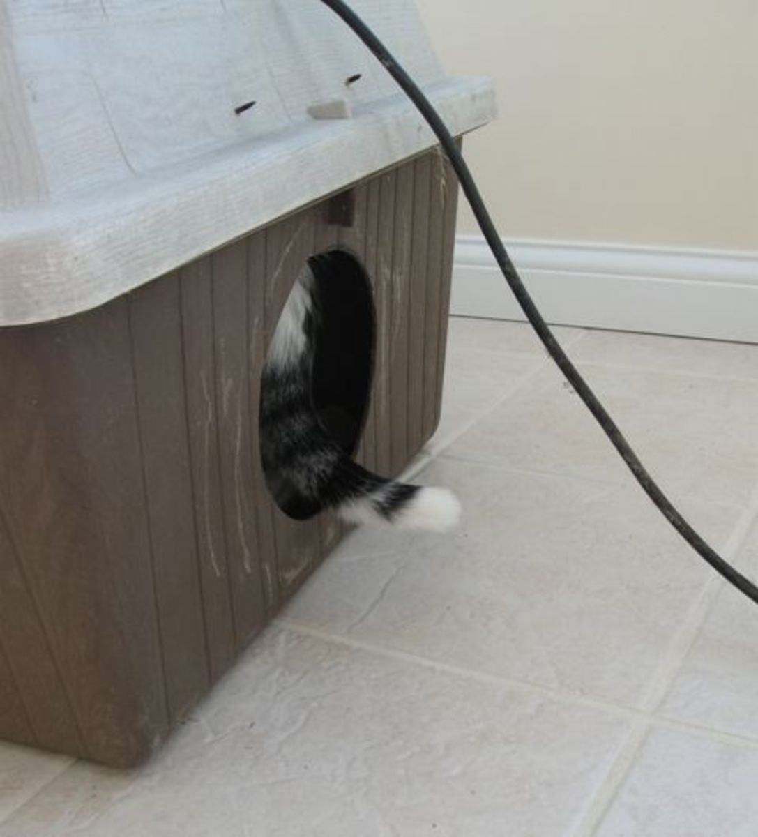 The Kitty Tube, NEW GEN 4 design, Outdoor Cat House with Straw