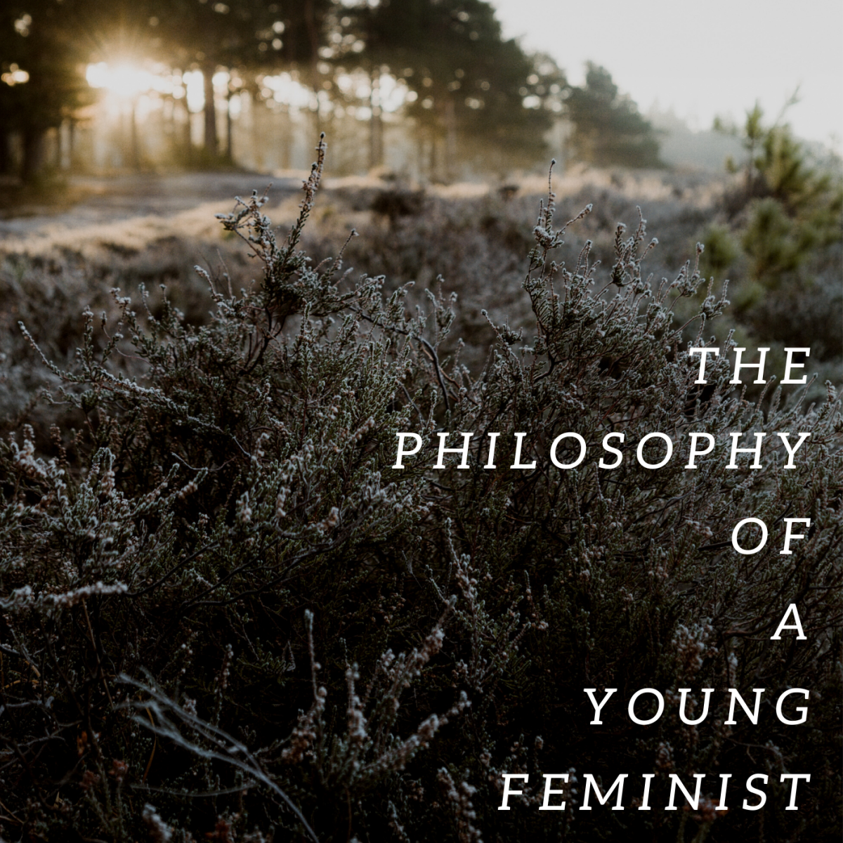 The Philosophy of a Young Feminist