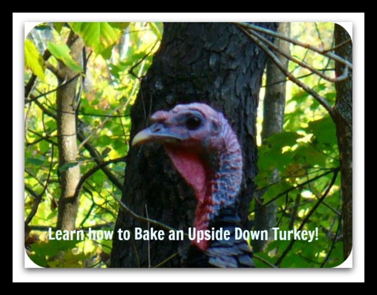 Scrumptious Upside Down Turkey Recipe: Good for Thanksgiving or Any Time of the Year