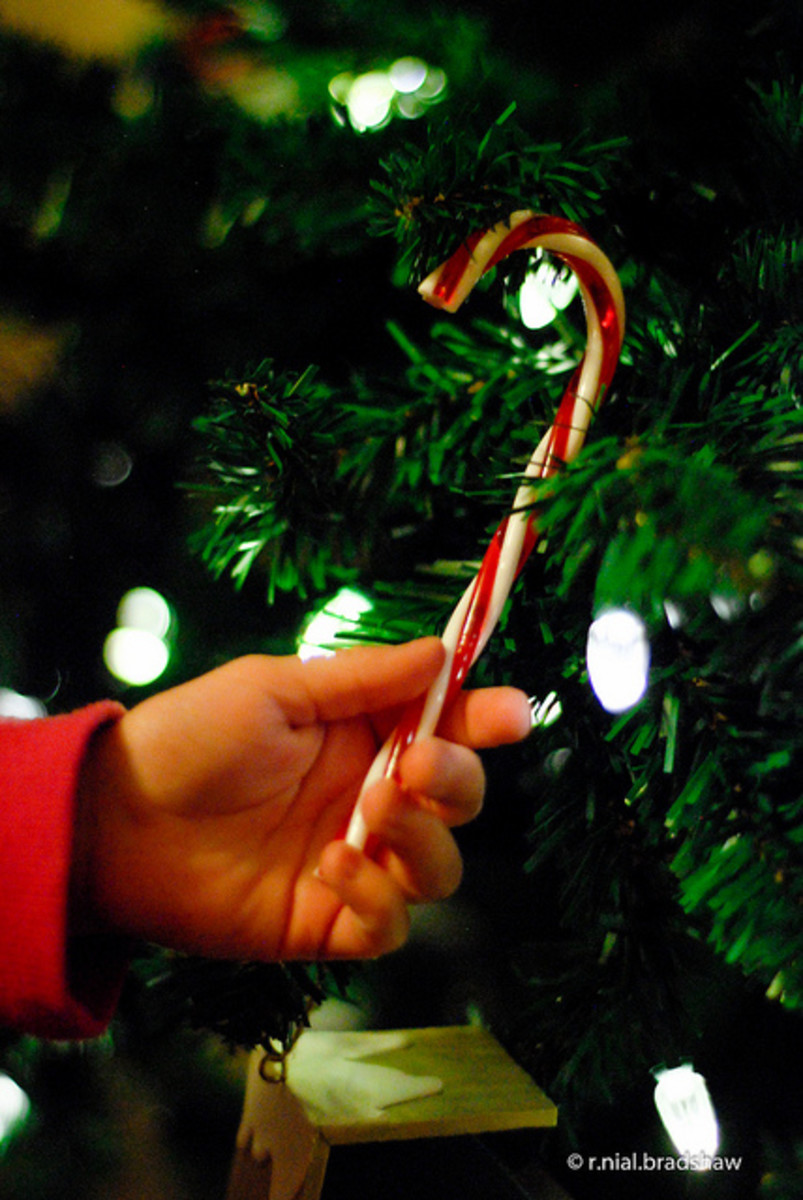 Candy cane being placed on Christmas tree