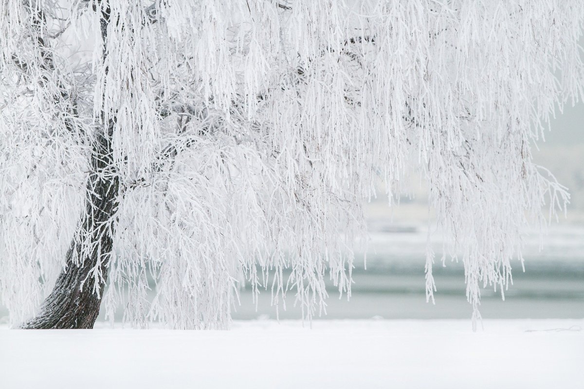 31 December Instagram Photo Ideas HubPages