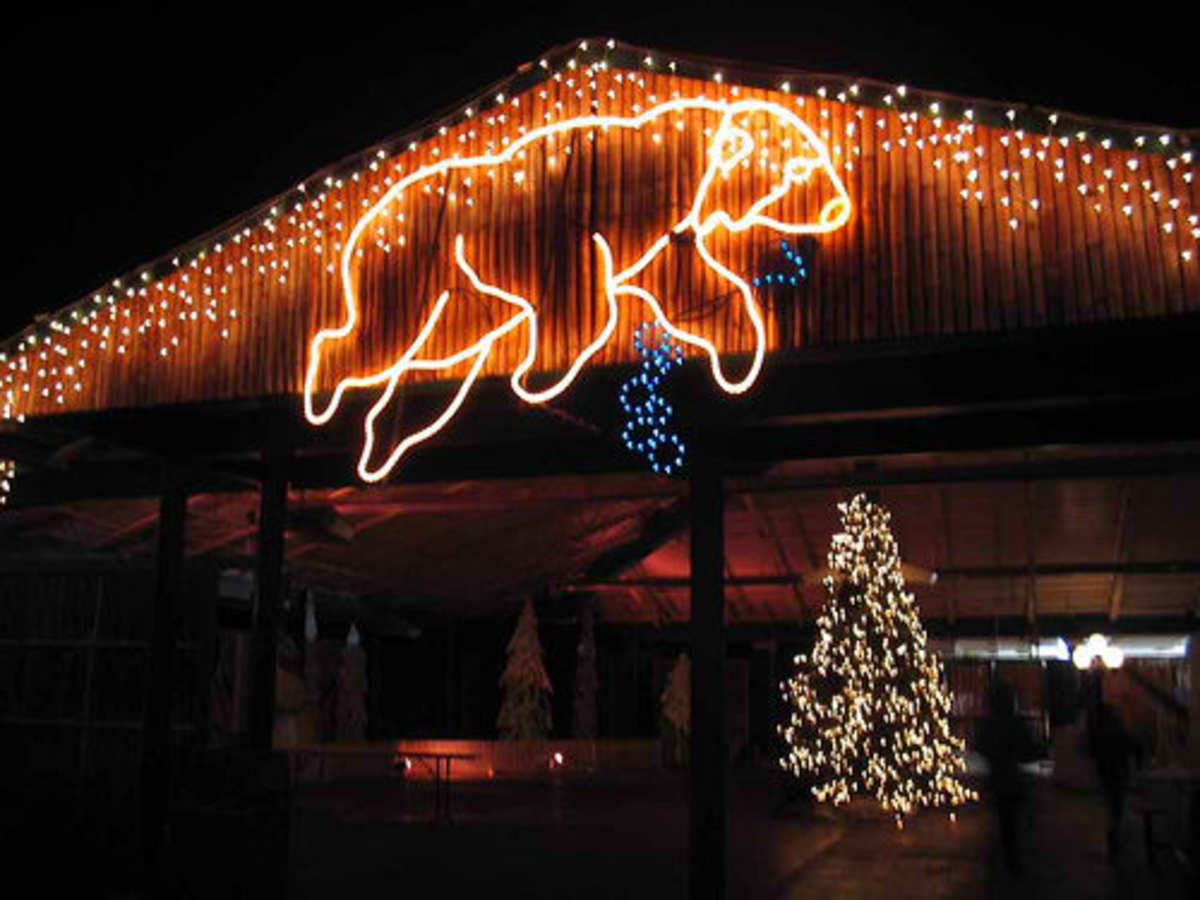 Winter Holidays at Wild Lights With the Columbus Zoo