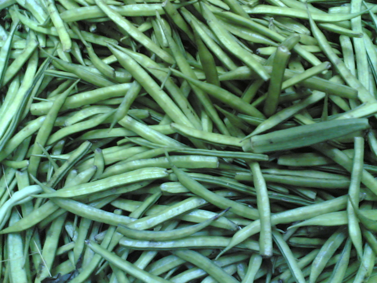 Guar (Cluster beans)