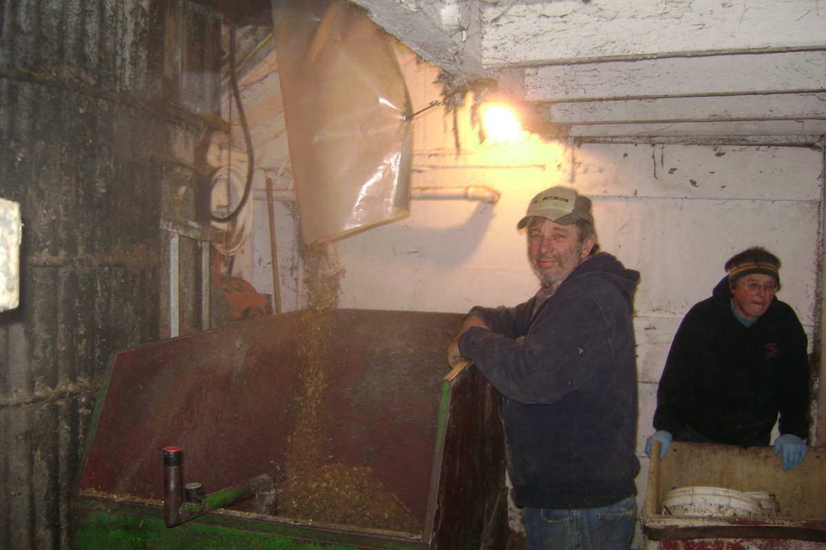 working-on-a-dairy-farm-in-wisconsin
