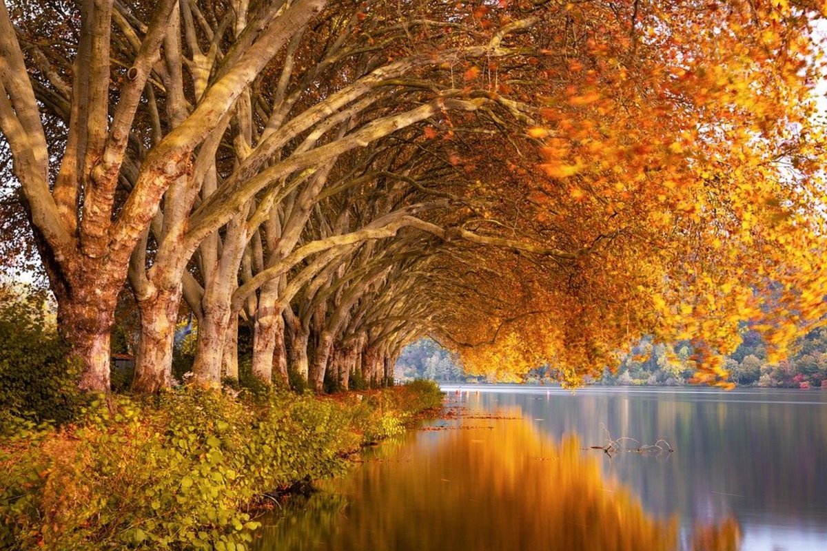 22 Quotes About the Season of Autumn