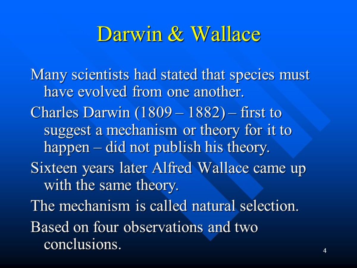 Darwin and Wallace