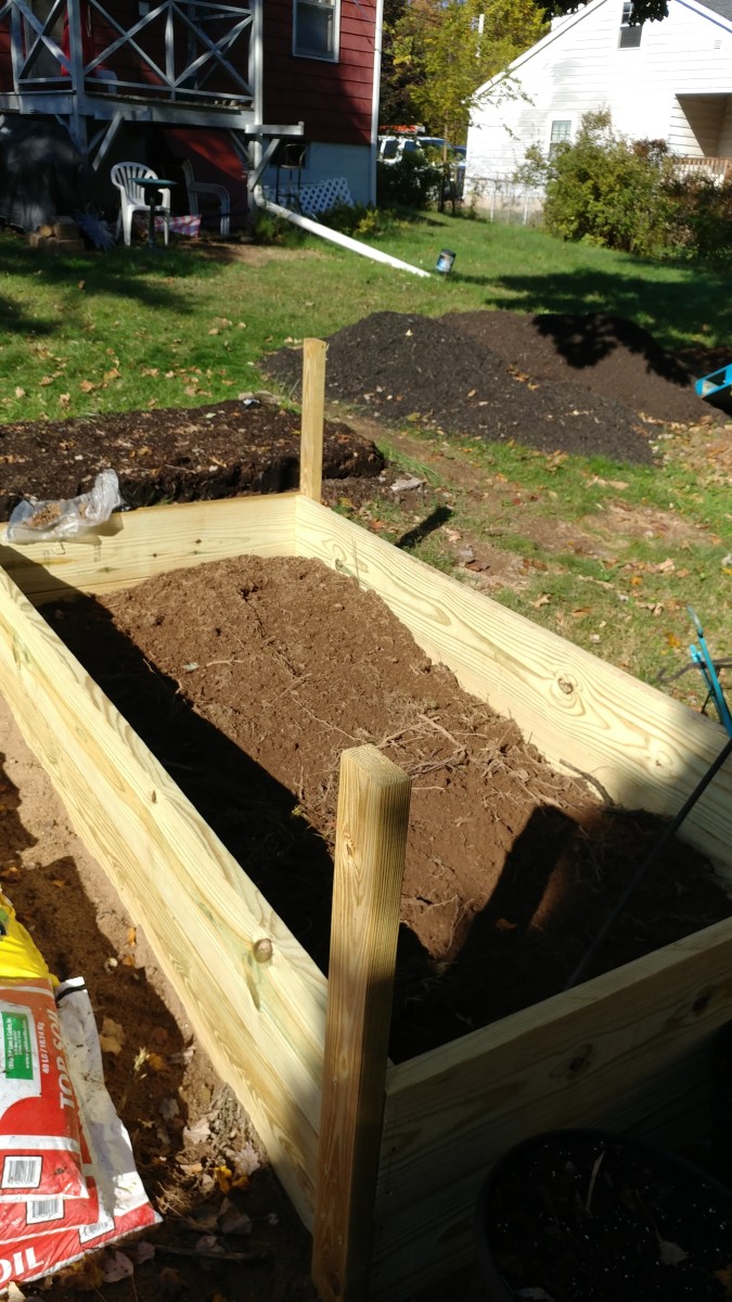 Filling raised bed - 4' x 8' x 24"—second layer
