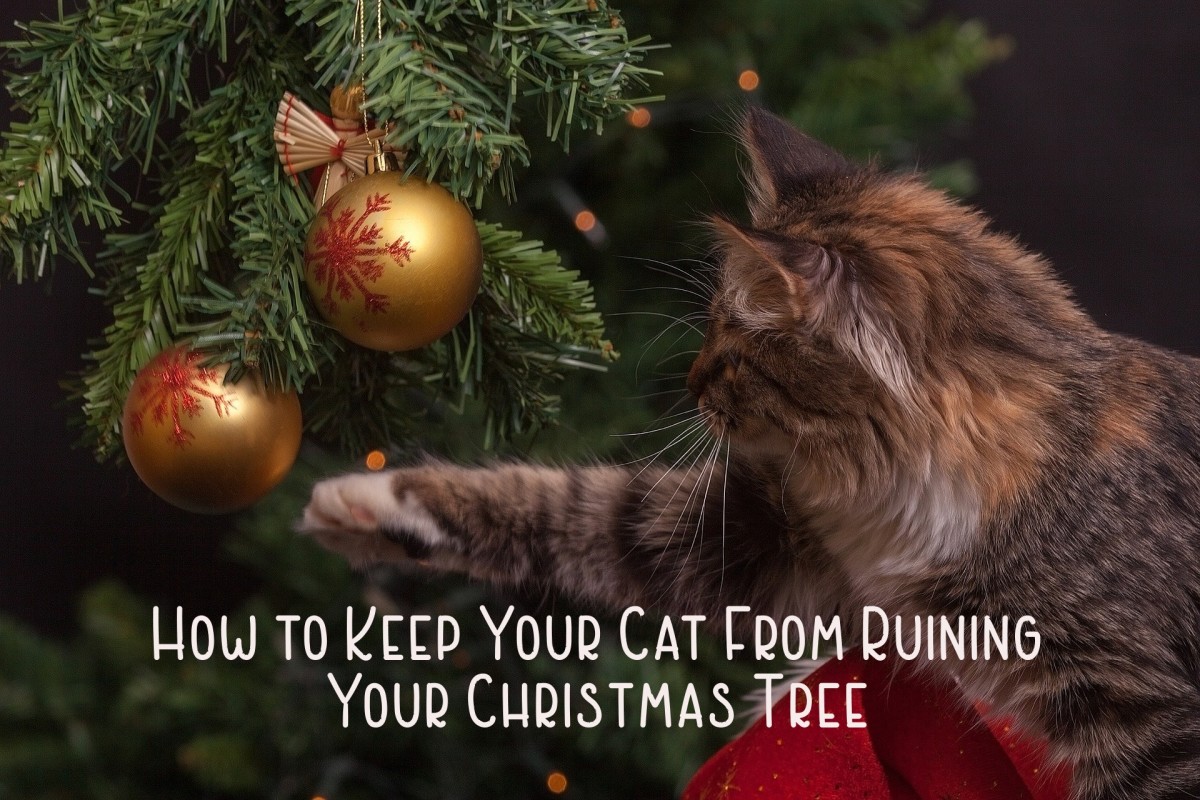 How to Keep Your Cat out of the Christmas Tree