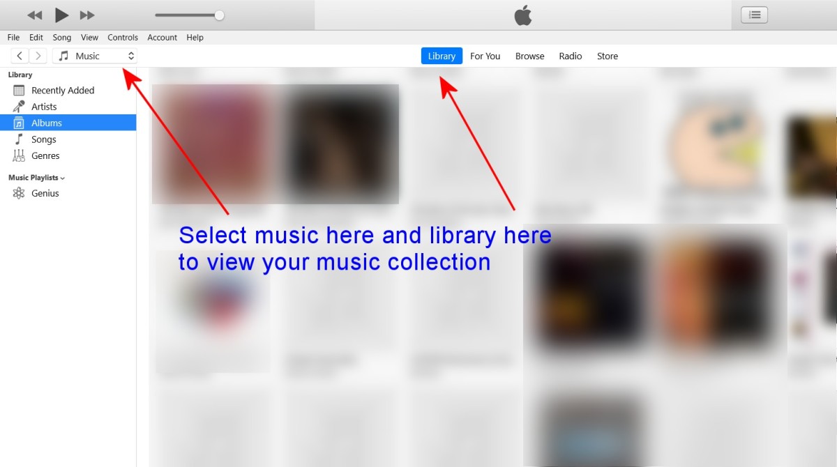 Choose "Music" from the popup menu on the top left of the screen and then click "Library".