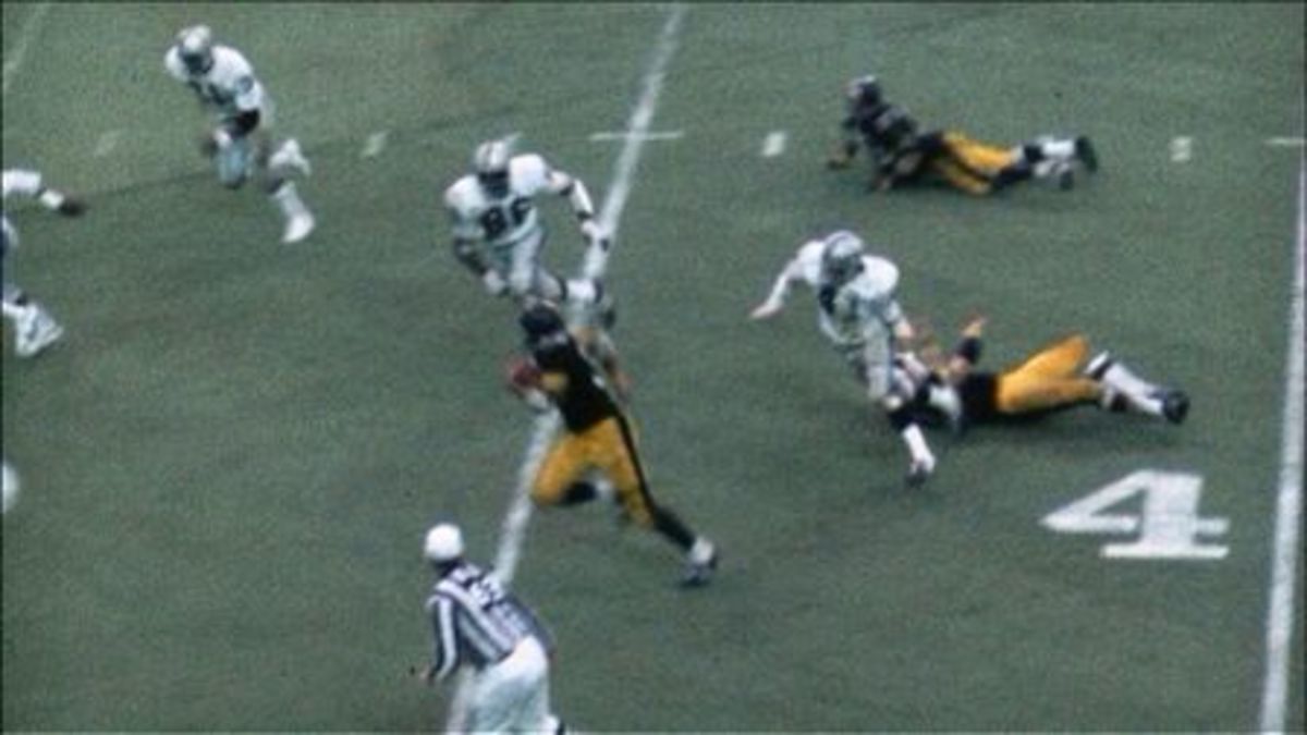 Immaculate Reception  