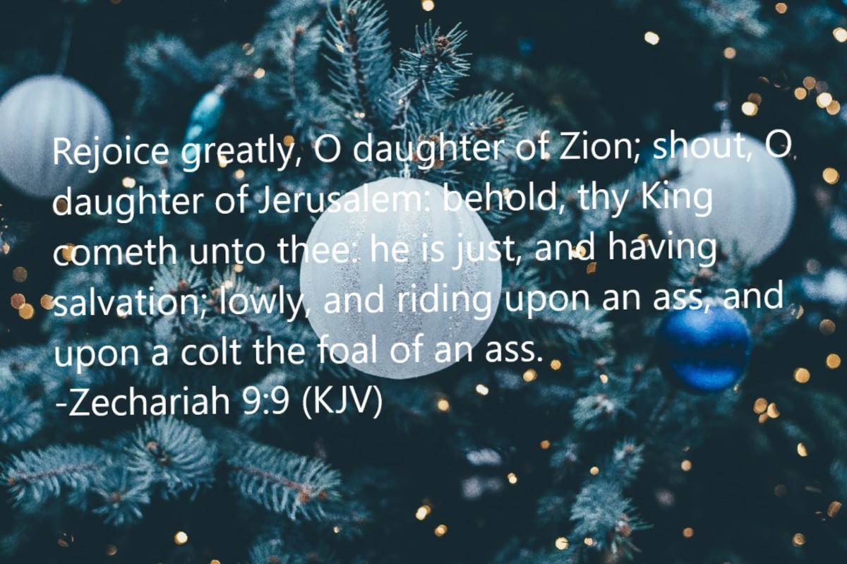 Rejoice greatly, O daughter of Zion; shout O daughter of Jerusalem: behold, thy King cometh unto thee: he is just, and having salvation; lowly, and riding upon an ass, and upon a colt the foal of an ass.