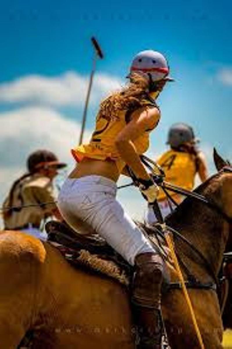 horse-polo-in-india