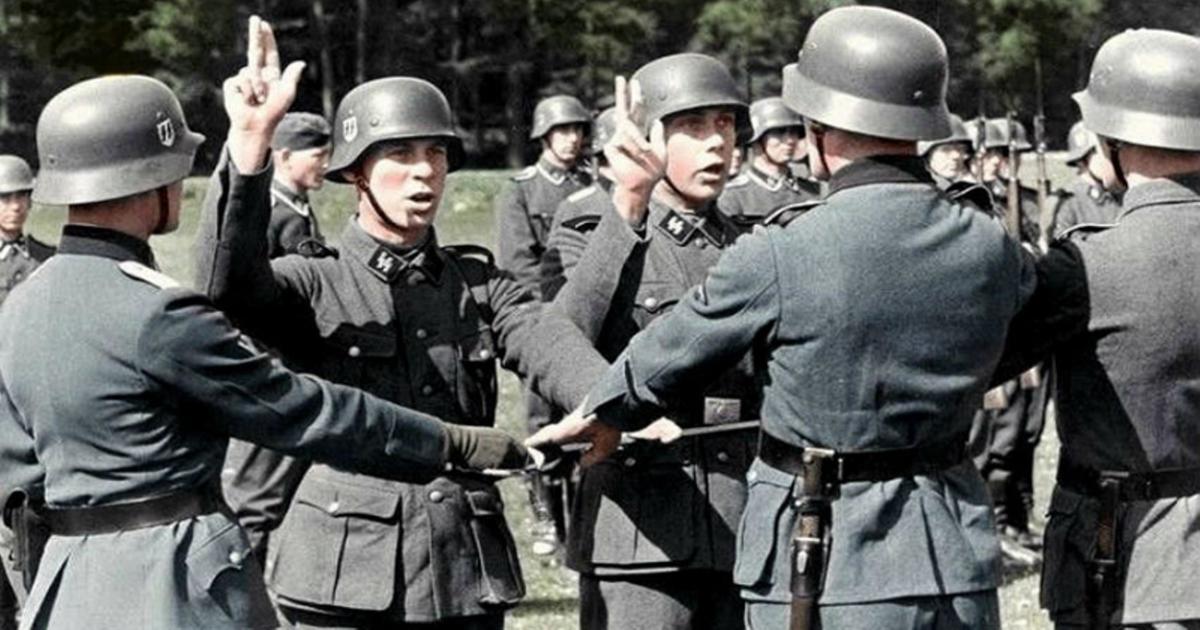 7.sweden Was Neutral During Ww Ii but Many Swedes Enlisted in the Waffen Ss….….