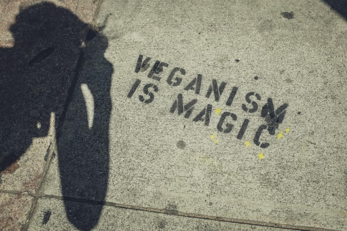 The Top 11 Reasons to Follow a Vegan Diet