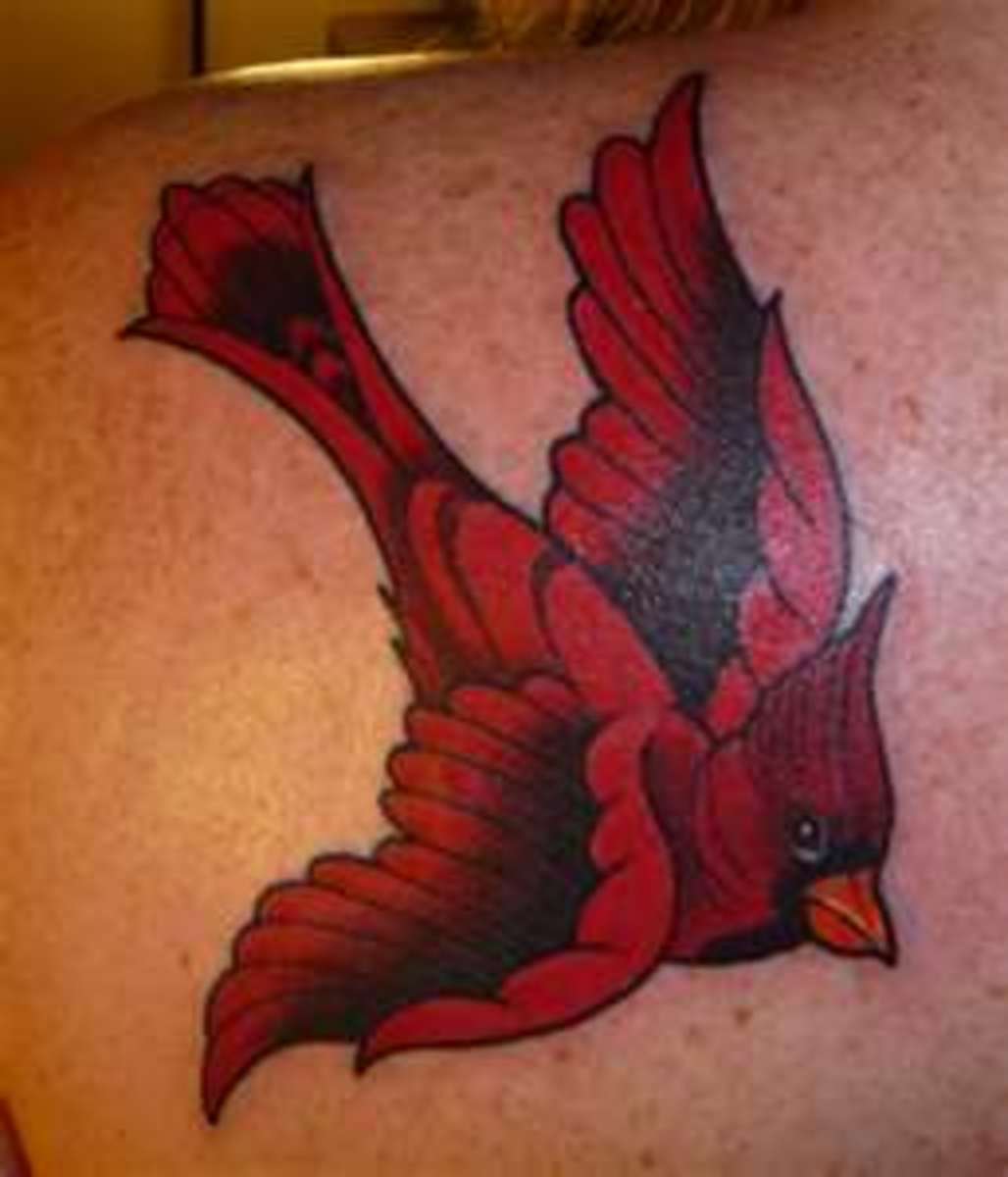 Cardinal Bird Tattoos