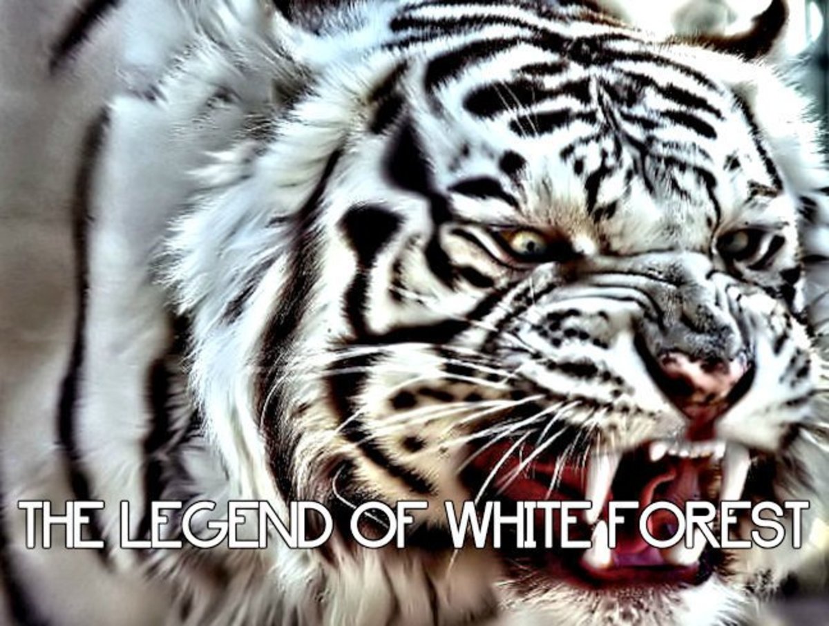 The Legend of White Forest 3