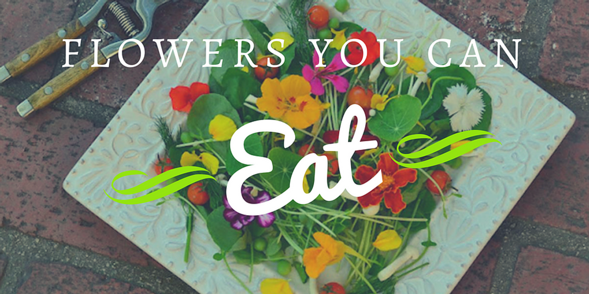 Garnish Food With Fresh Herbs and Flowers HubPages