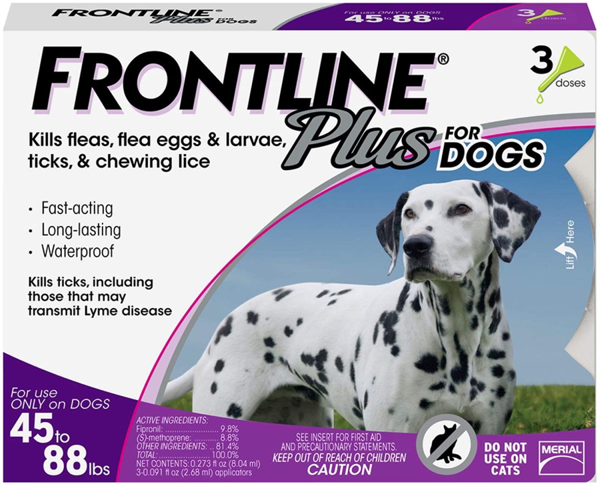 I've found Frontline Plus to be an effective flea treatment and great for preventing infestations.
