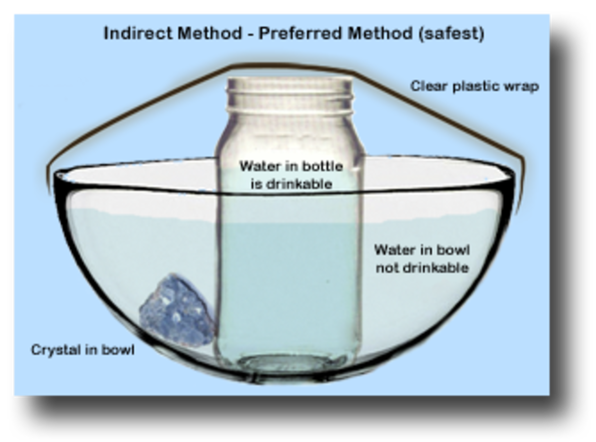 Top 5 Benefits of Chrysanthemum Stone HubPages