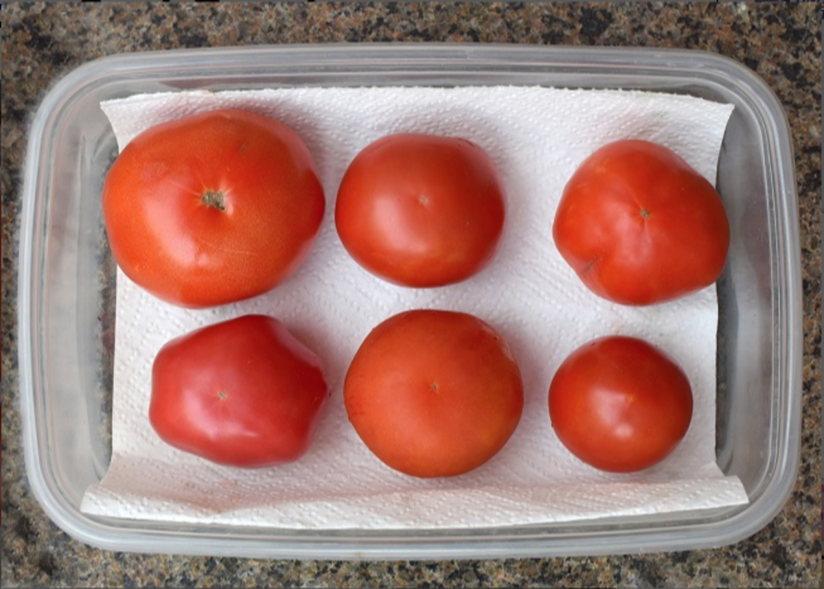 A good rule of thumb is to store all whole and green tomatoes at room temperatures of 60 degrees or above. 