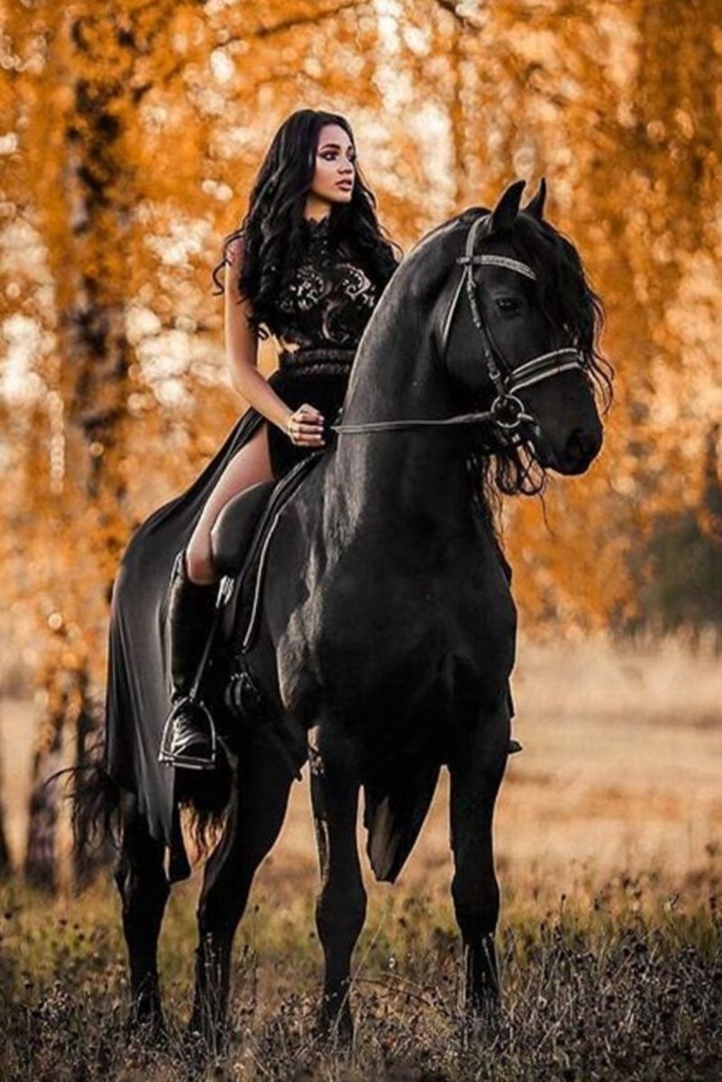 Horse Polo and Romancing a Princess
