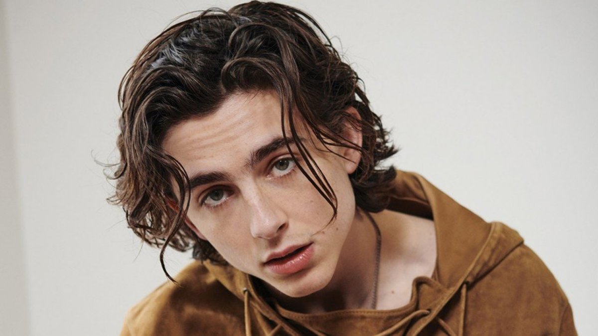 Who Is Timothee Chalamet of Call Me by Your Name?