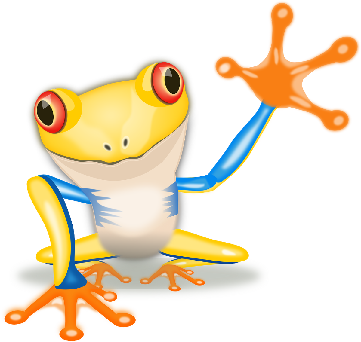 Let’s Learn About Amphibians!
