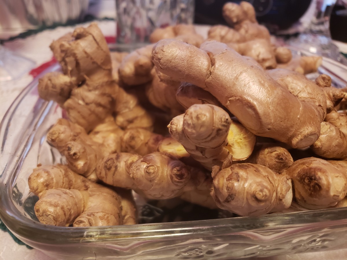 The Dietary & Medicinal Benefits of Ginger