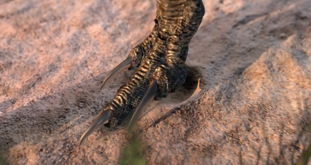 Vespersaurus' foot in the flesh, also by Rodolfo Nogueira.