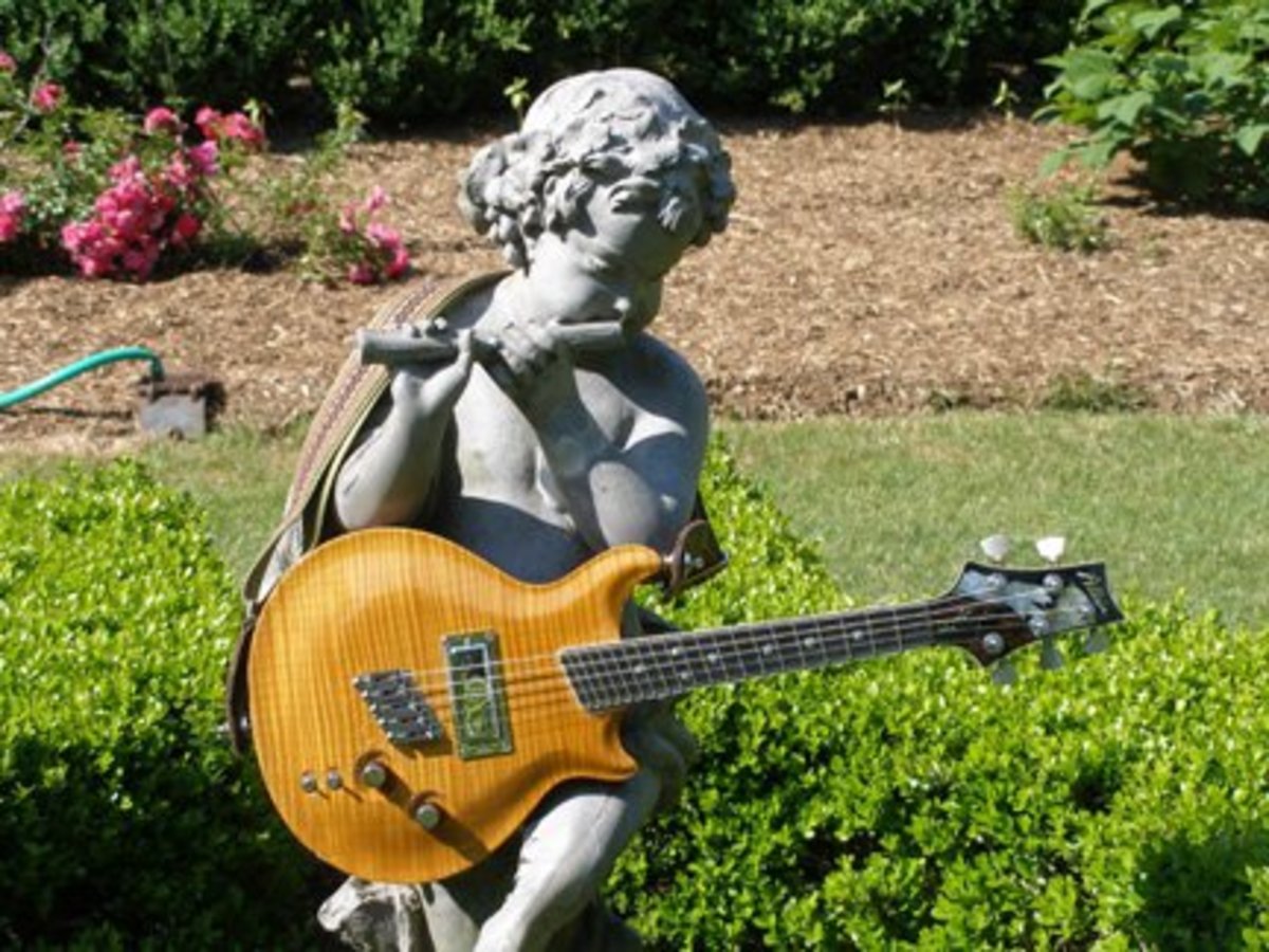A mandolin created by Donald Allain. 