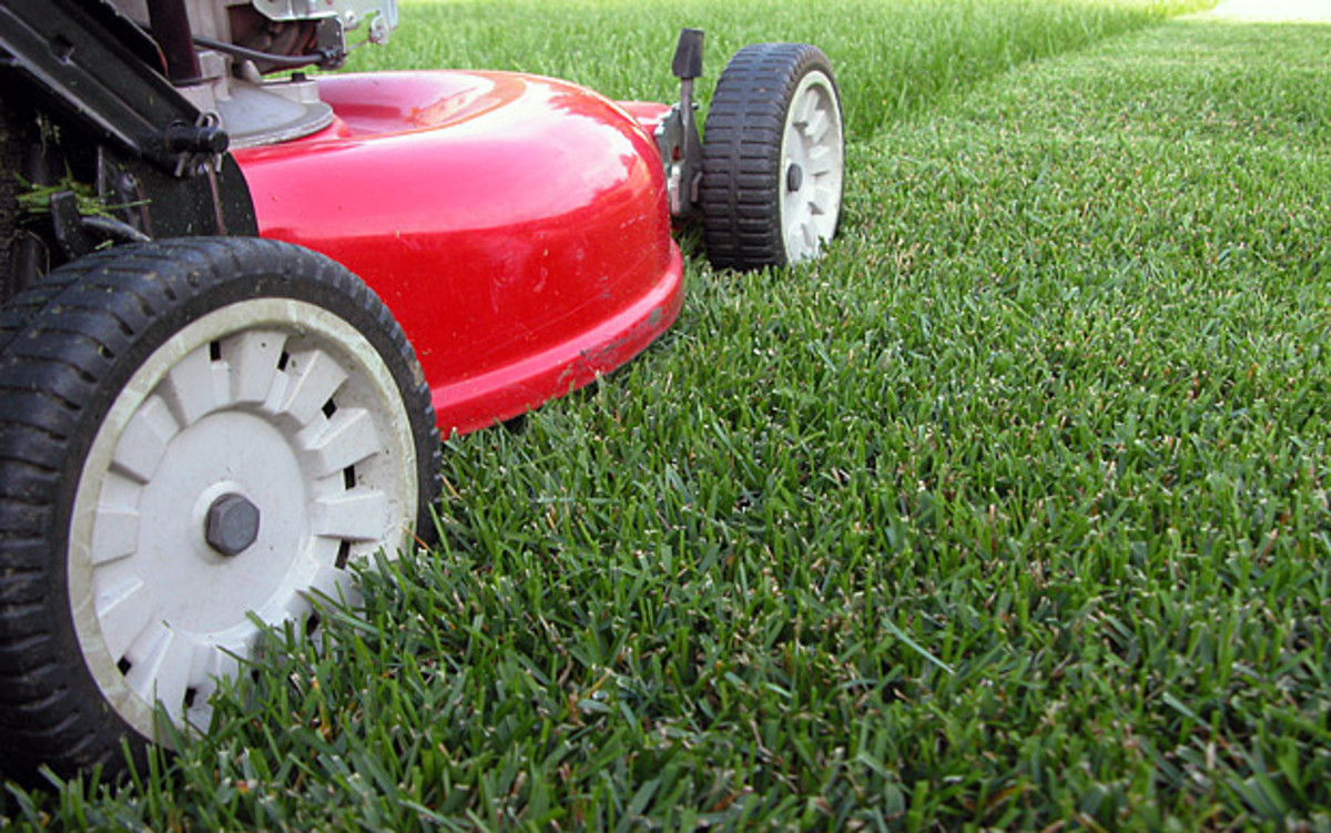 9 Tips to Mow Your Lawn To Perfection HubPages
