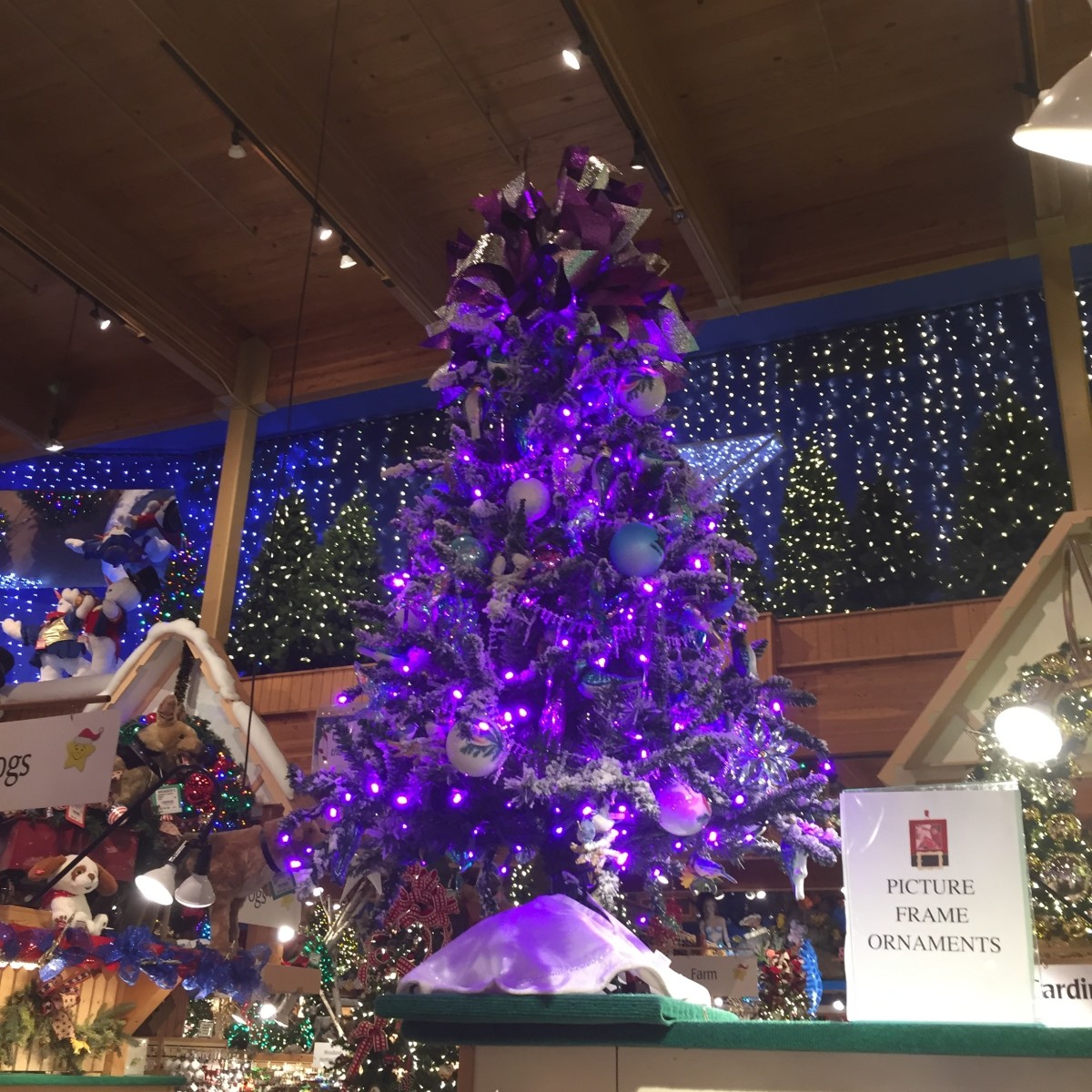 Do you fancy your Christmas tree in purple?