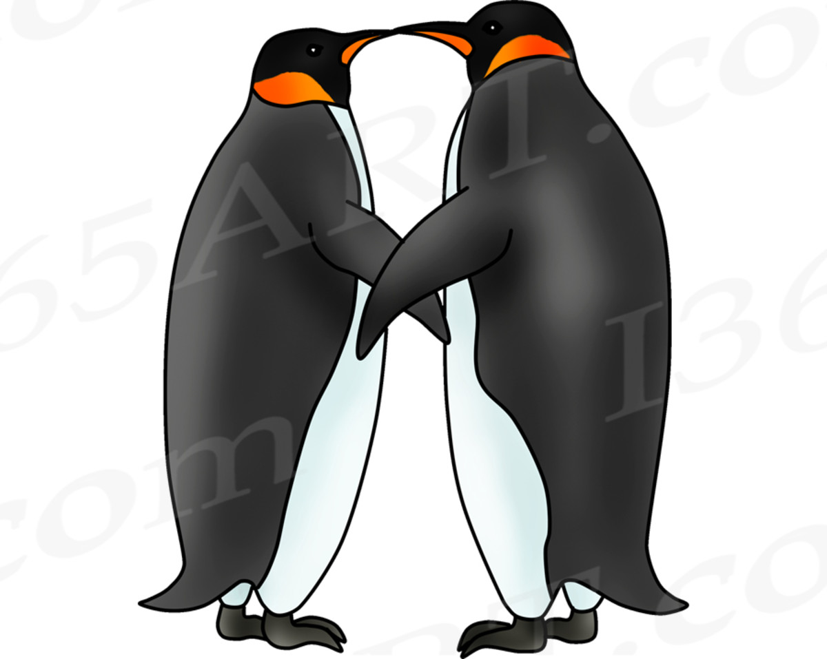 Male and female emperor penguins mating