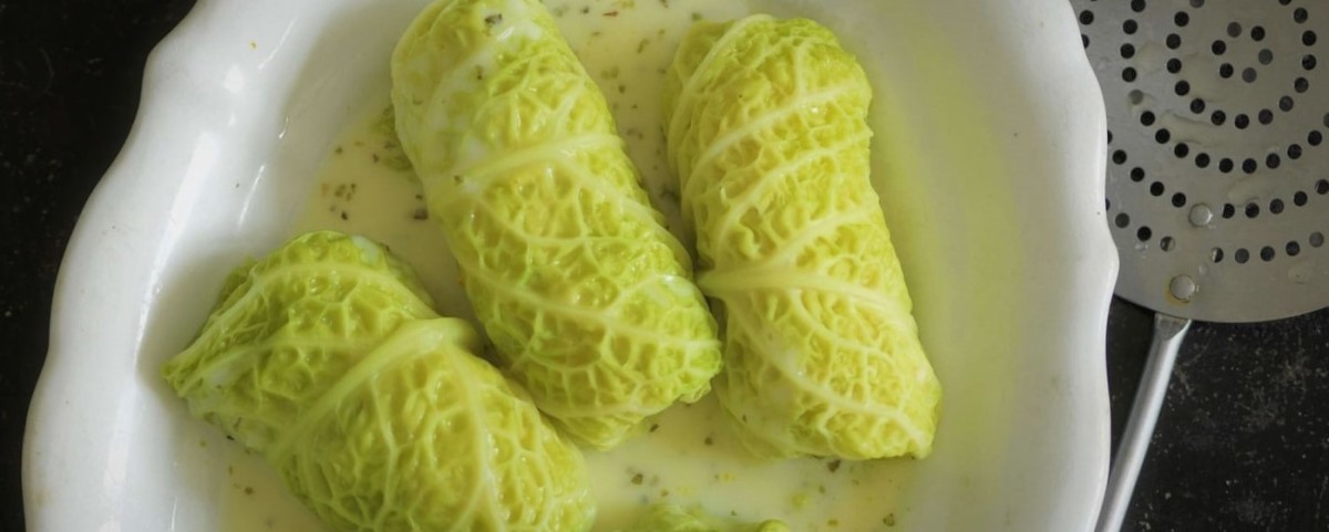 Rolls of Cabbage and Mountain Cheese