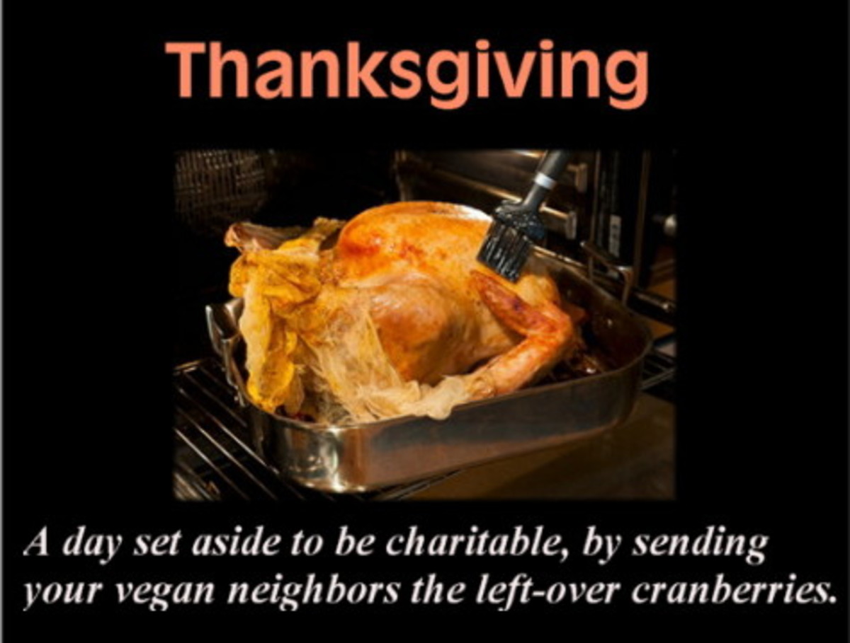 eye-opening-funny-and-unforgettable-thanksgiving-greeting-cards