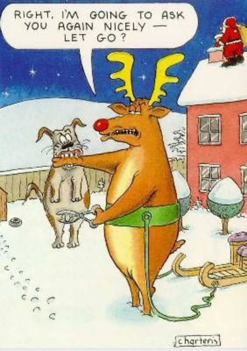 24 - Reindeer Dog Trouble