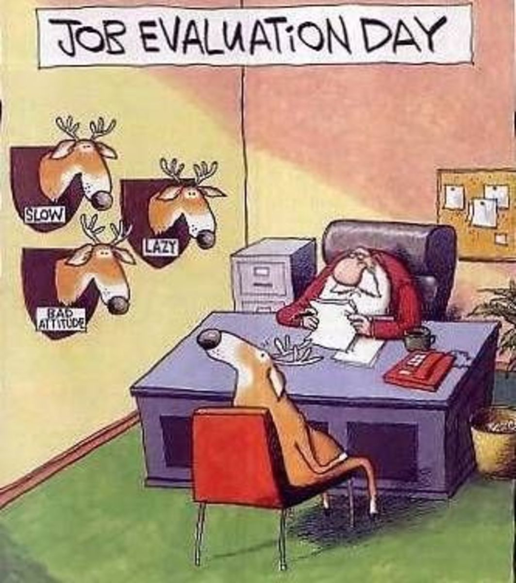19 - Job Evaluation Day