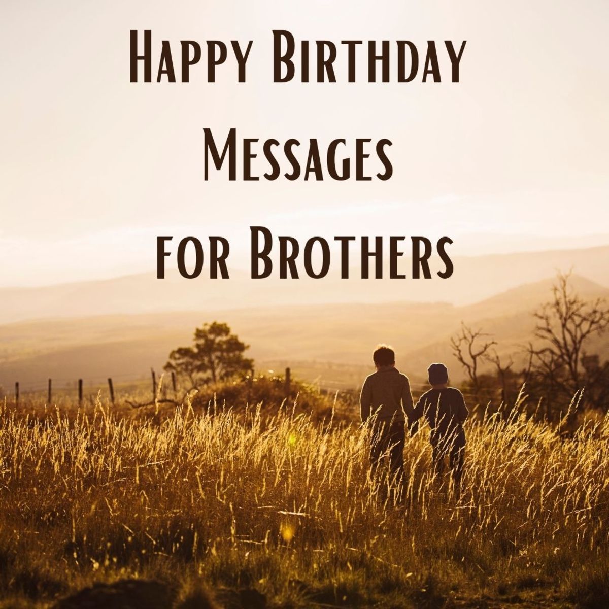 141 Birthday Wishes Texts And Quotes For Brothers Holidappy