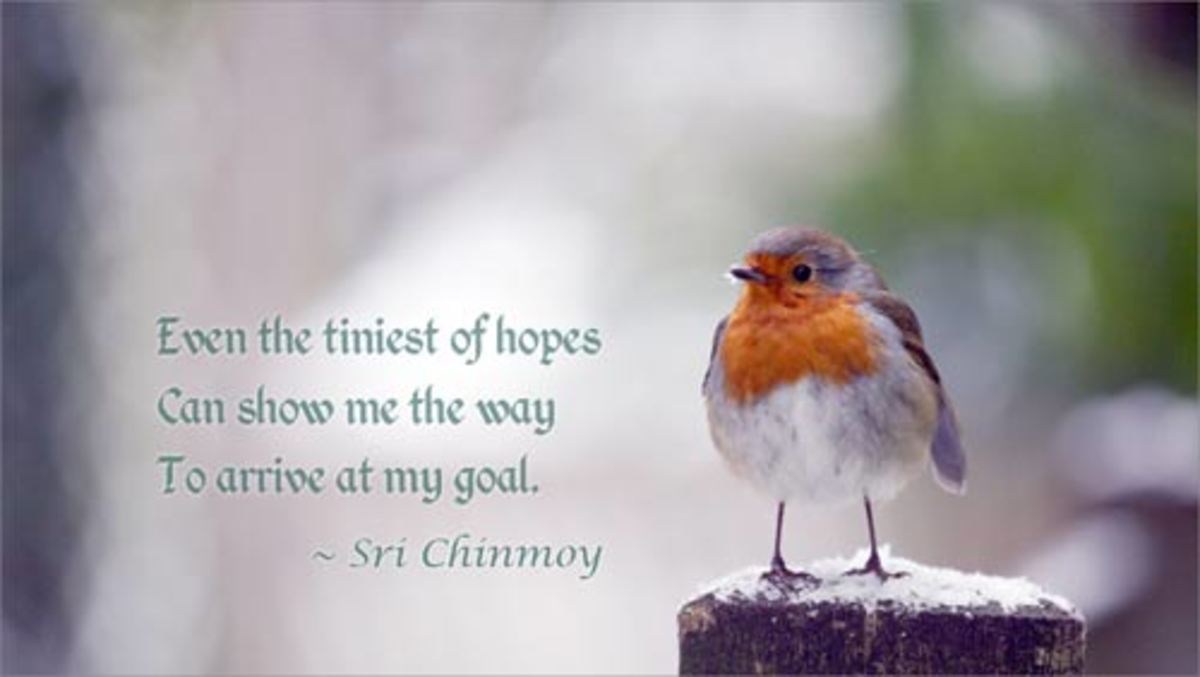 20 Aphorisms of Sri Chinmoy. Wednesday's Inspiration 12, to Rosina Khan