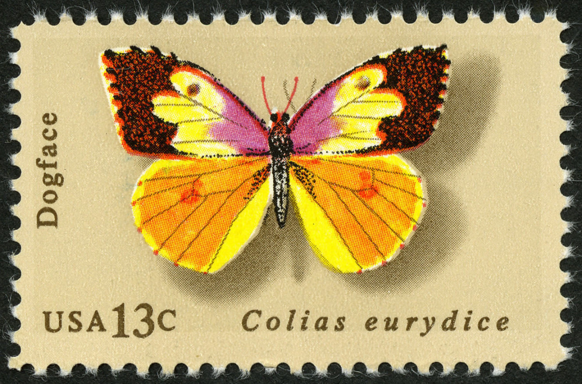 state-insect-of-california