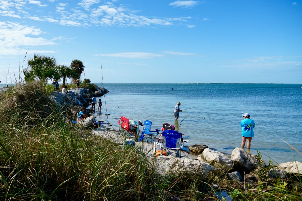 Fred Howard Park Hidden Gem of Florida’s Gulf Coast WanderWisdom