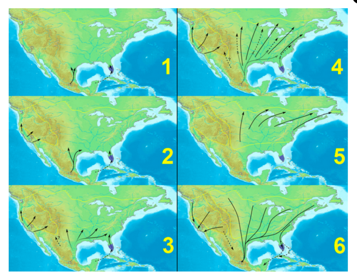 这张图展示了帝王蝶的迁徙过程