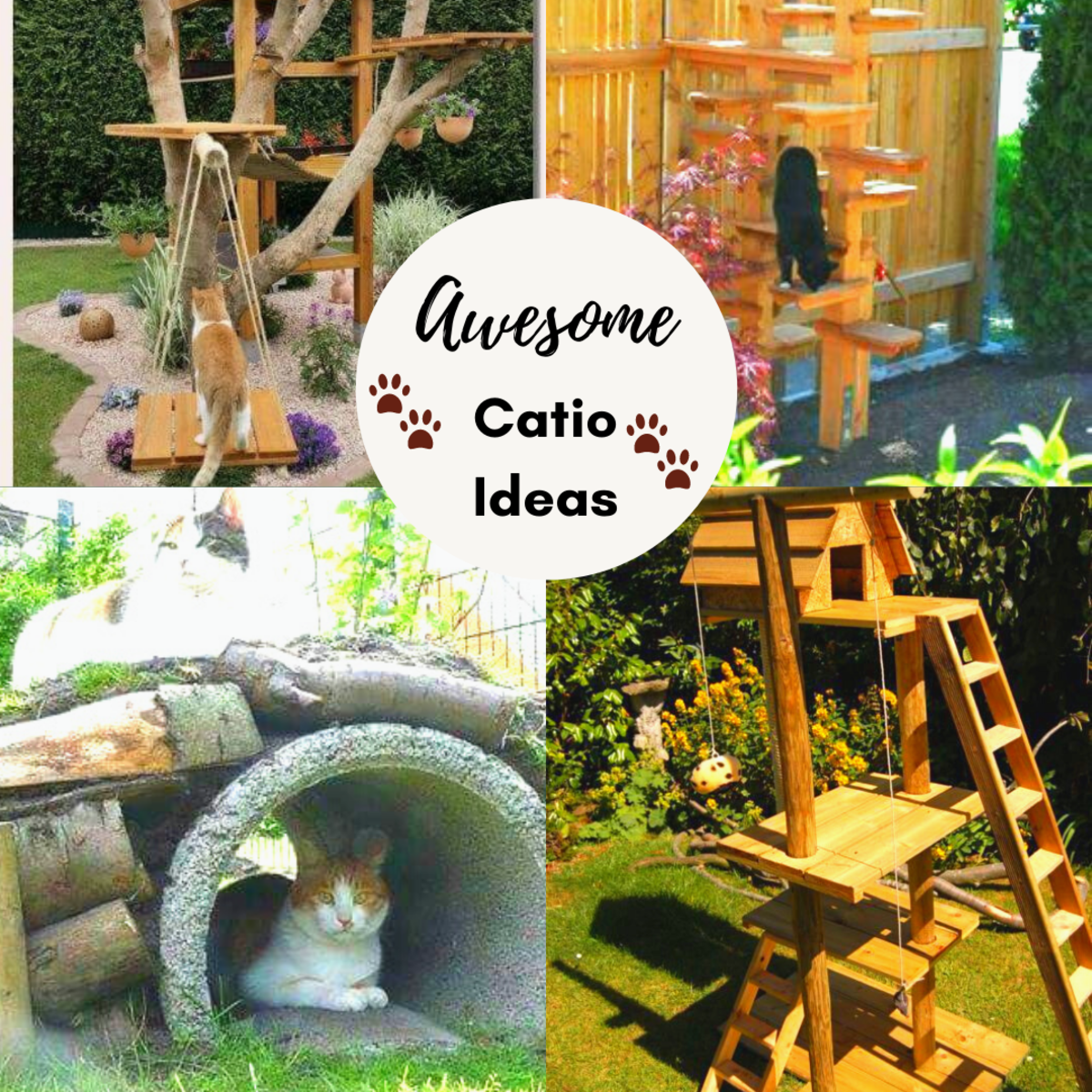 30+ DIY Catio Ideas That Are Totally Pawsome