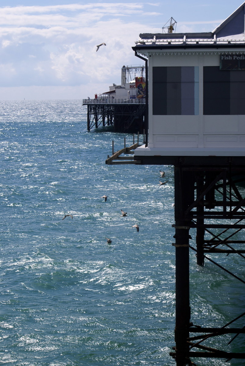 brighton-seaside-and-pier