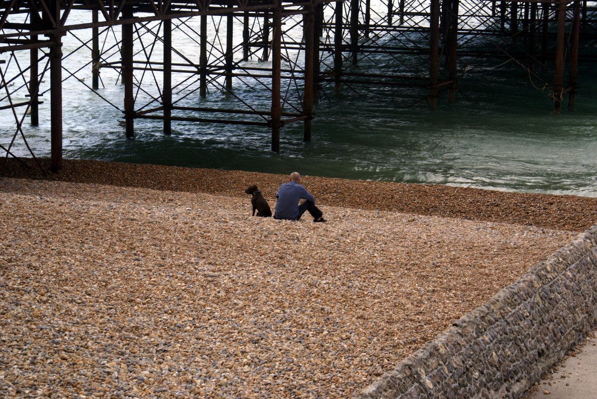 Under the Boardwalk, down by the sea, yeah, yeah, with my blanket and my ..... dog