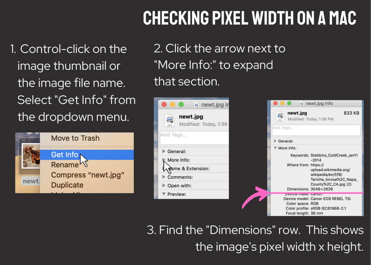 These screenshots show how to find the pixel width of an image on your Mac.