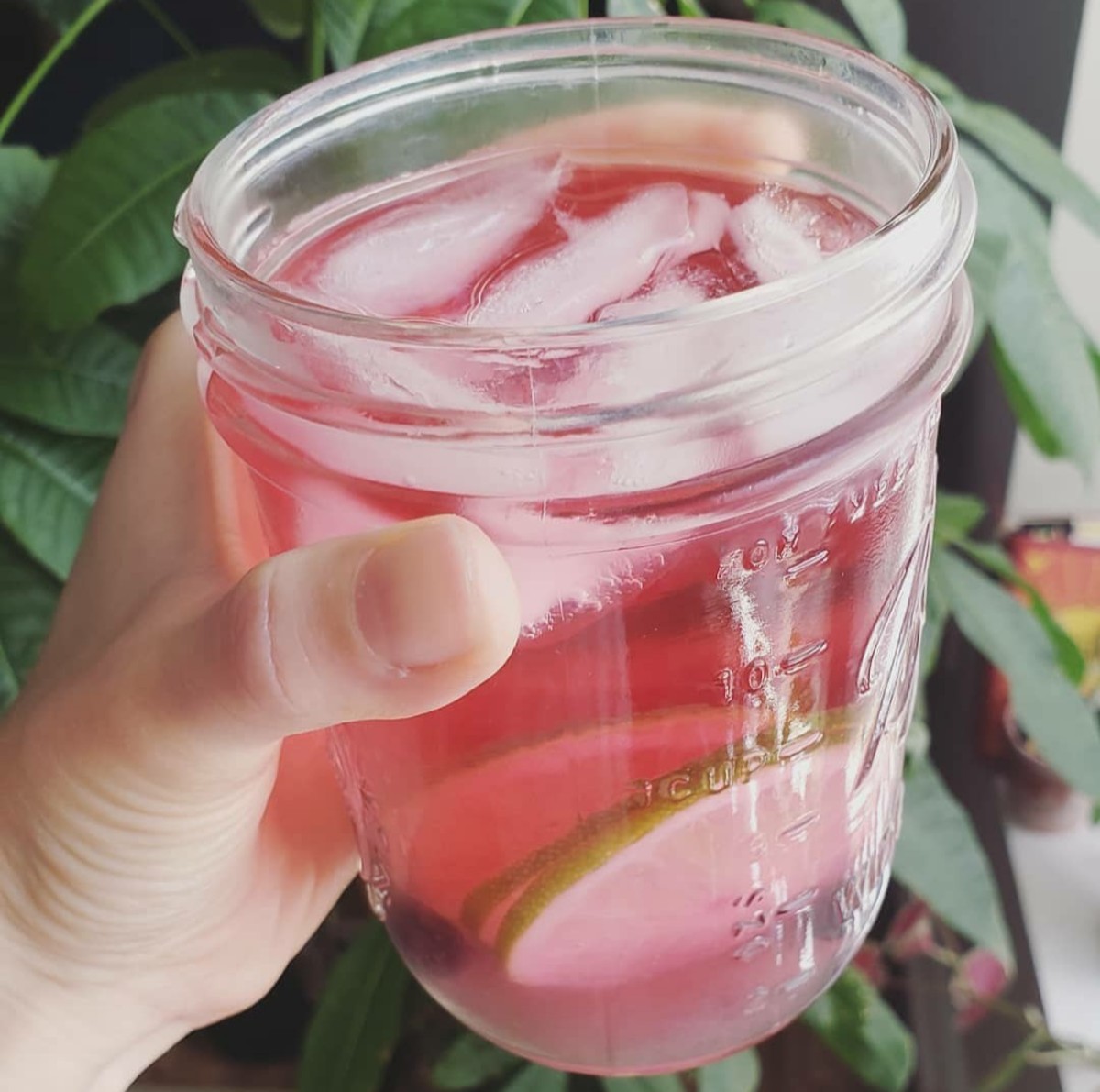 15 Infused Water Recipes