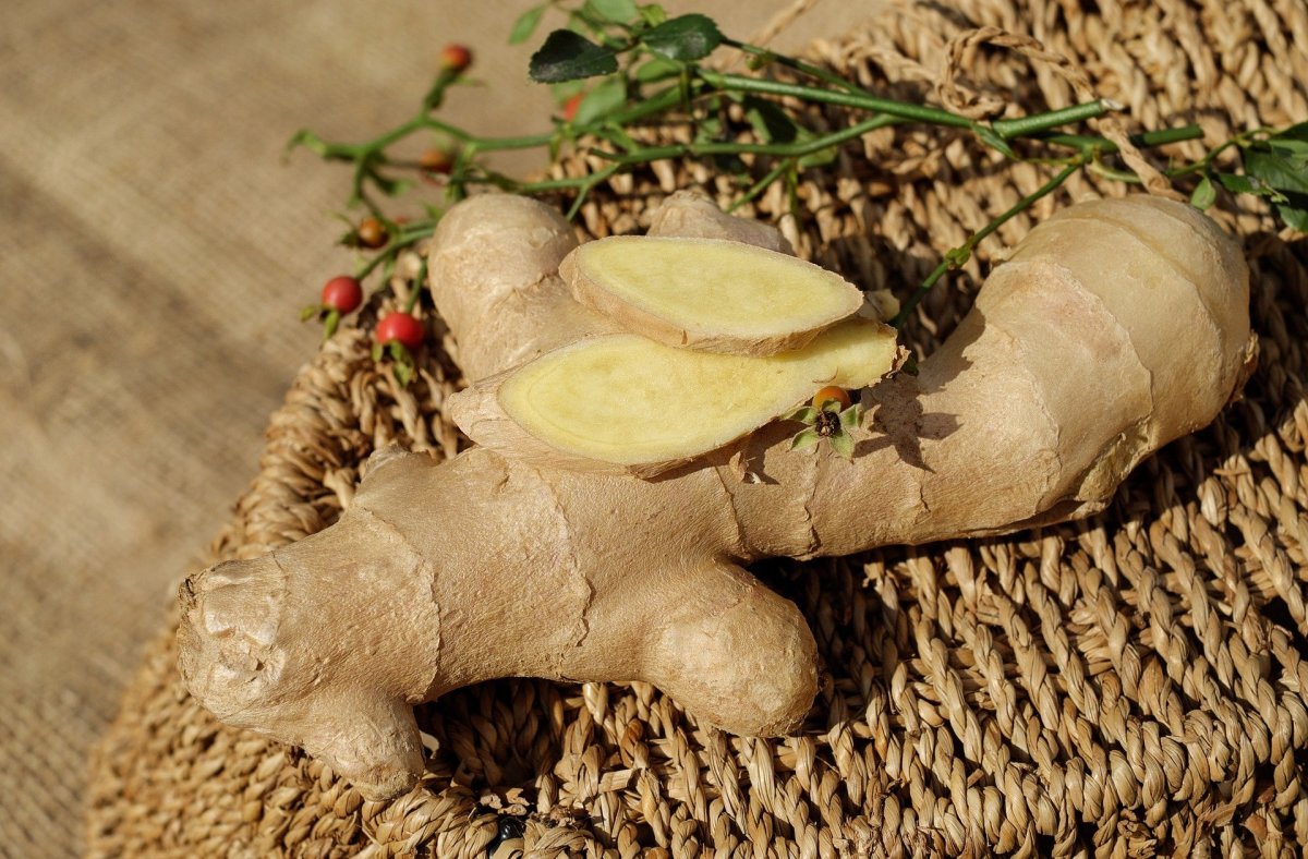 Ginger Infusion: Benefits And Preparation Tips