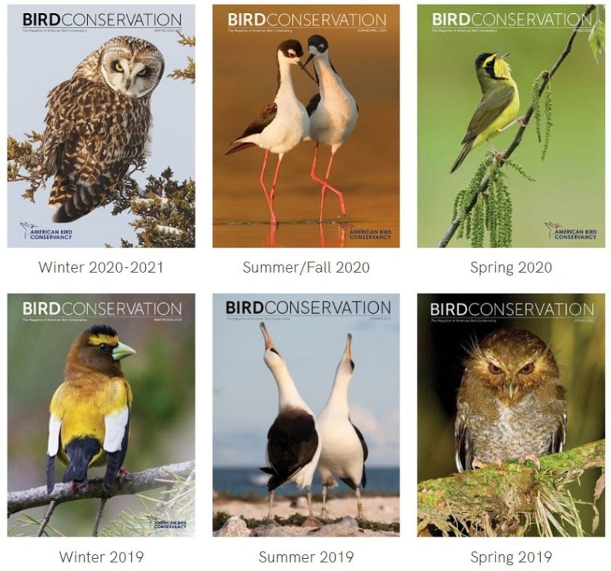 7 Great Gift Ideas for Birdwatchers Holidappy Celebrations